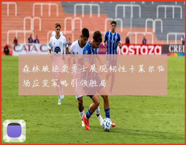 森林狼逆袭勇士展现韧性卡莱尔临场应变策略引领胜局