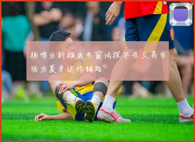 杨鸣分析雄鹿冬窗试探字母交易市场为夏季运作铺路