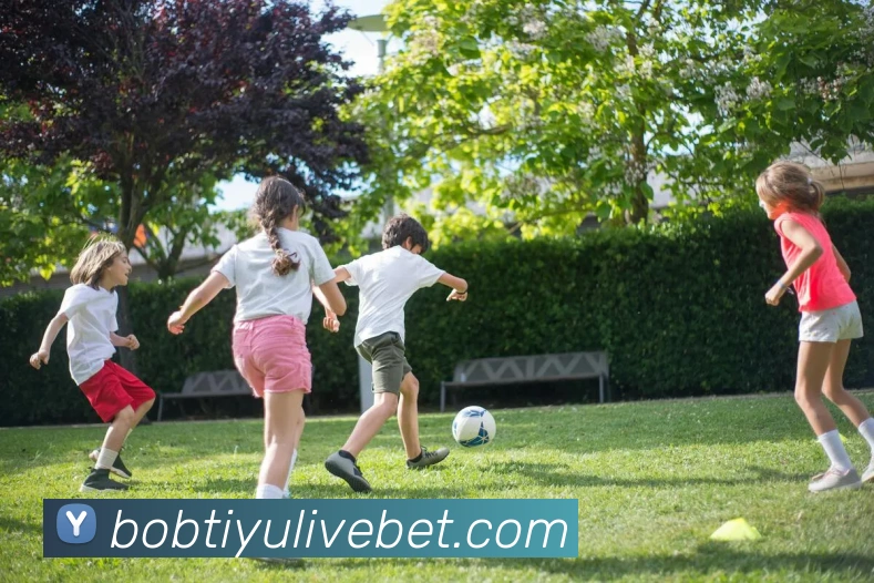 BOB体育APP 封面图